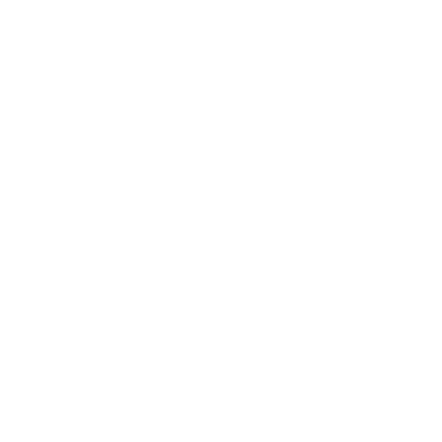 Logo The Stephen Moylan Foundation Butterfly